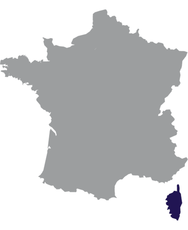 Landkaart Frankrijk grijs met regio Corsica donkerblauw op transparante achtergrond - 600 * 733 pixels